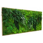Moss & Ferns - 68