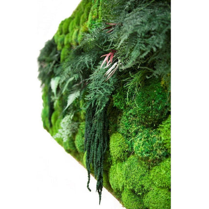 Moss & Ferns - 68" x 33" Oversized Statement Piece - Vertical or Horizontal