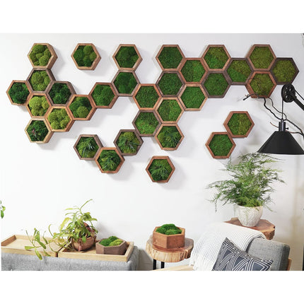 Modular Hexagons (single hex) 40 options to design your own wall