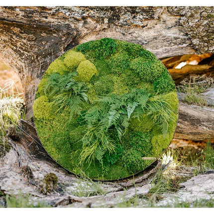 Fern & Moss Whisky Barrel Plant Painting Handmade 22”-25” Round
