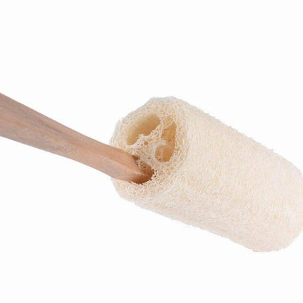 Natural Loofah Bath Brush w/Long Handle.