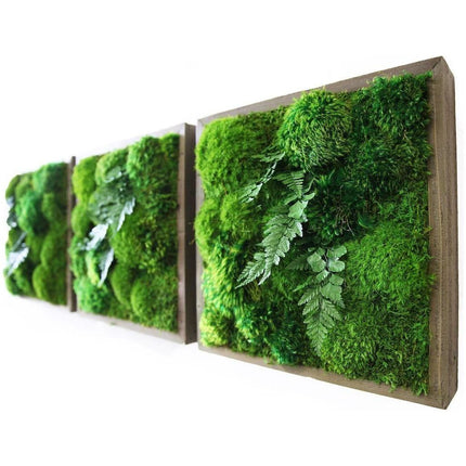 Fern & Moss Plant Painting Handmade 14” x 14”