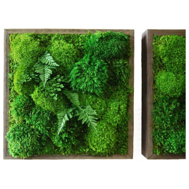 Fern & Moss Plant Painting Handmade 14” x 14”