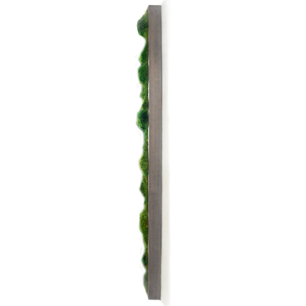 Moss Wall Preserved High Profile Moss in Gray Frame