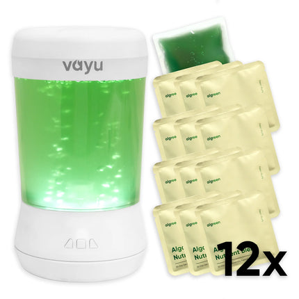 Algae Air Purifier for Home - VAYU • Fresh Oxygen • Removes Pollutants